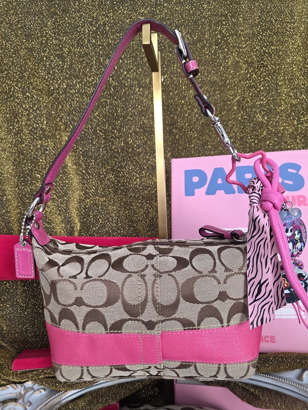 Coach Y2K Pink Stripe Bag